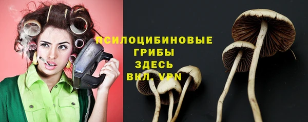 дурь Верхний Тагил
