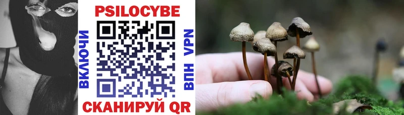 Псилоцибиновые грибы мухоморы  Купить закладки  Волхов 