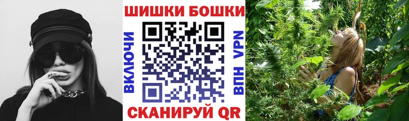 Конопля конопля Волхов